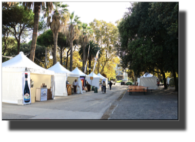 Preparing for Bear Tasting in La Spezia Public Gardens DSC01530 2.jpg